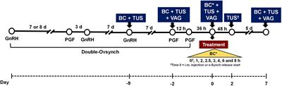 An automated system for cattle reproductive management under the IoT framework. Part II: Induction of luteinizing hormone release after gonadotropin releasing hormone analogue delivery with e-Synch